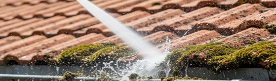 démoussage toiture orleans